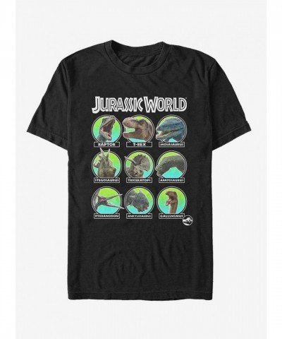 Jurassic World Fallen Kingdom T-Shirt - Dino All Stars Unisex Black