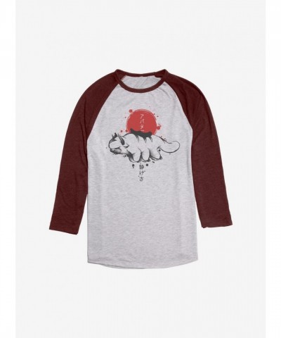 Avatar Appa Sumi-E Raglan Tee - Grey Men's Size