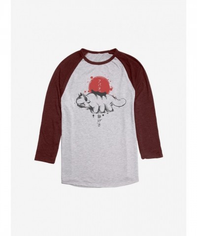 Avatar Appa Sumi-E Raglan Tee - Grey Men's Size